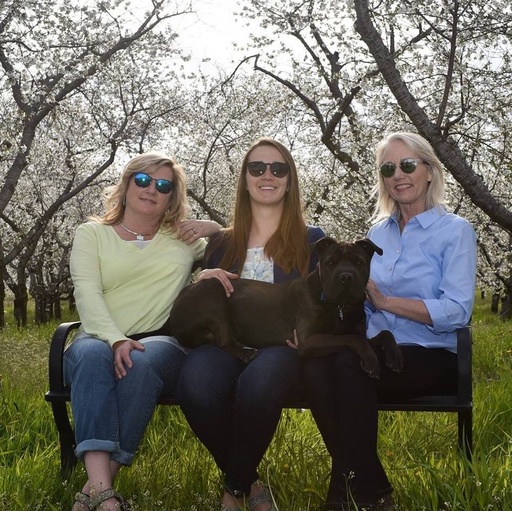 Bay Family Vision Care
